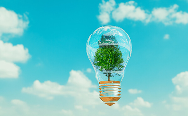 A light bulb featuring a lush tree within, representing the harmony between technology and the environment