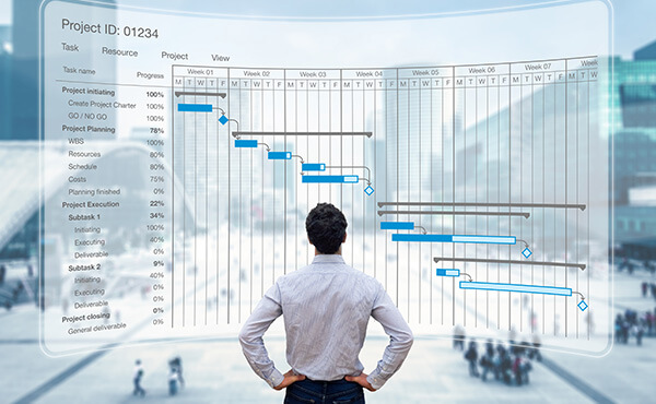 A man analyzing a project management chart on a computer screen